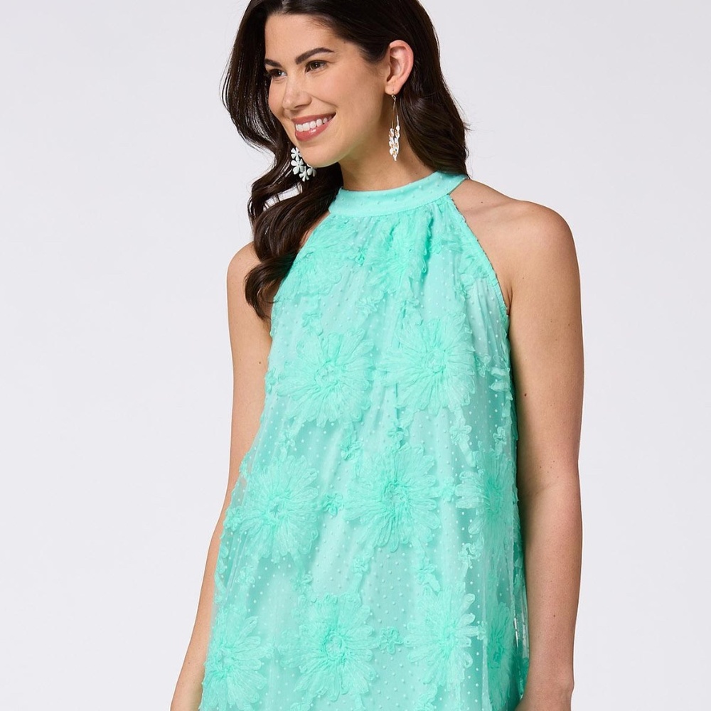 Mint green over the knee Cato dress